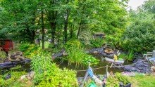 Teich Ein- bis Zweifamilienhaus in ruhiger Lage in Goslar