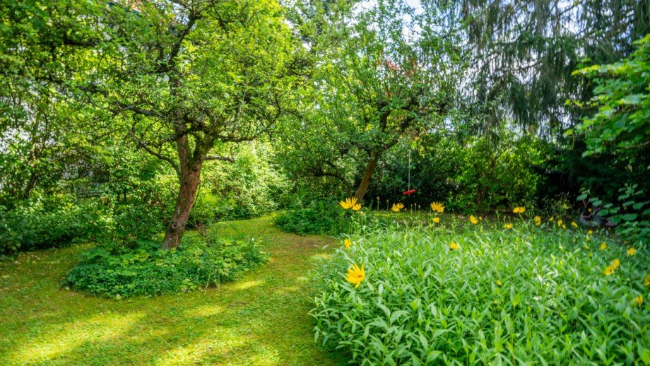Garten Einfamilienhaus Goslar / Georgenberg