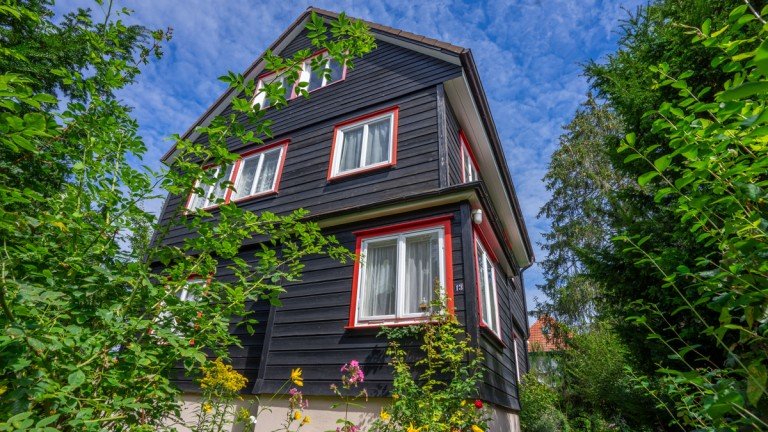Stra�enansicht Haus Georgenberg Goslar / Georgenberg Einfamilienhaus Liebhaberobjekt mit naturnahem Garten