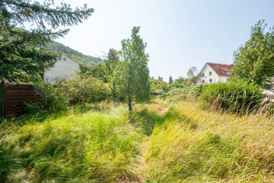 Grundst�ck Einfamilienhaus Goslar / Oker