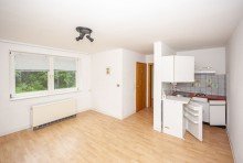 Appartment 1 - KG Zuhause mit zus�tzlicher Einnahme in Bad Harzburg
