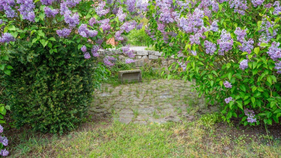 Verwunschene Terrasse Einfamilienhaus Adenb�ttel