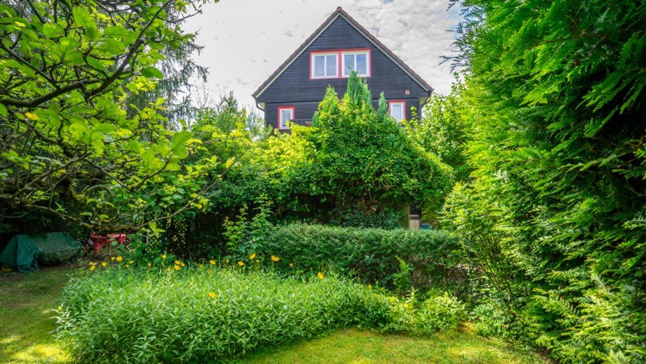 Gartenansicht Einfamilienhaus Goslar / Georgenberg