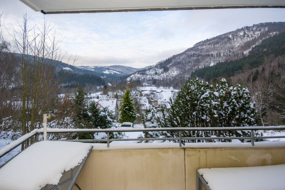 Balkon Erdgeschosswohnung Langelsheim / Lautenthal