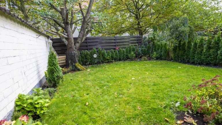 Garten Goslar Erdgeschosswohnung Gepflegte Wohnung mit Garten in Goslar
