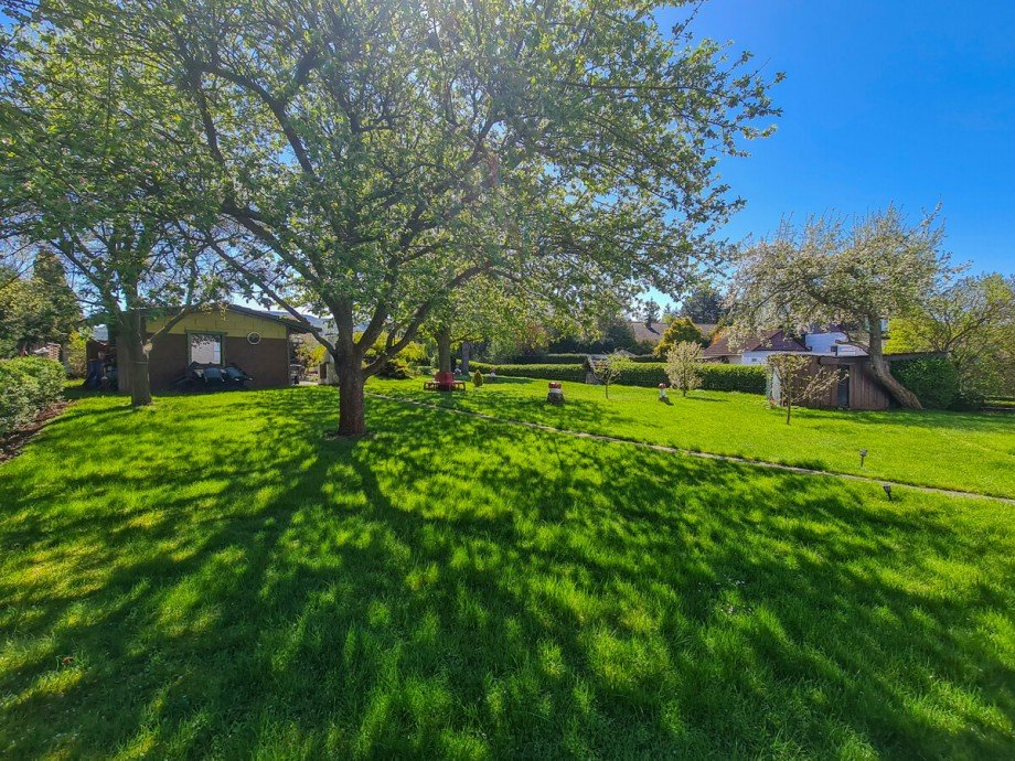 Garten Einfamilienhaus Bad Harzburg / Bettingerode