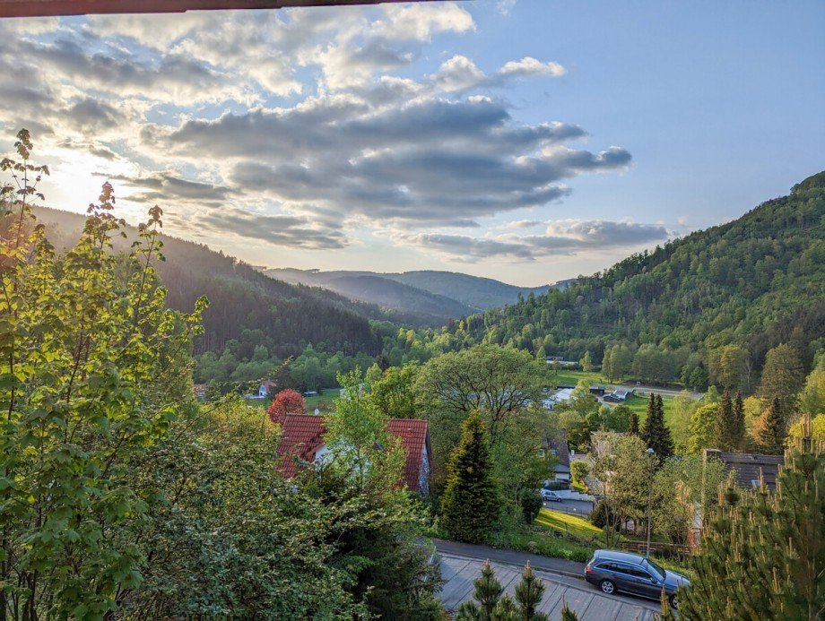 Ausblick Erdgeschosswohnung Langelsheim / Lautenthal